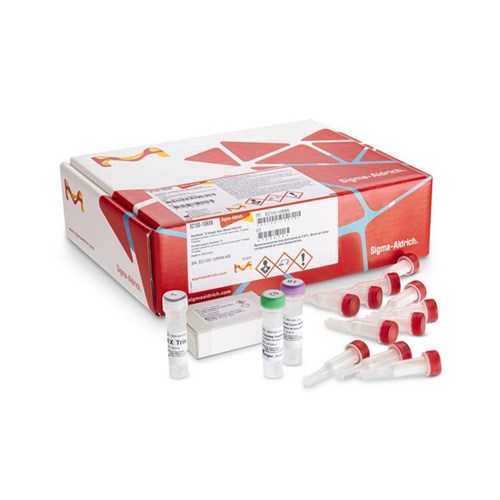 DNA Extraction & Purification